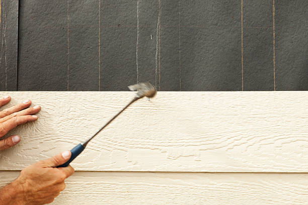 Best Wood Siding Installation  in East Niles, CA